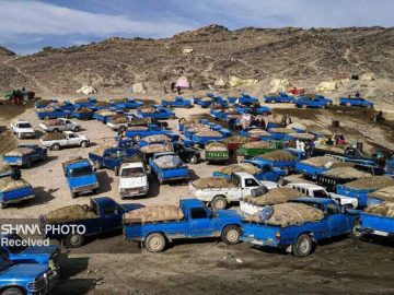 قاچاق سوخت در محاصره سیاست های هوشمندانه وزارت نفت