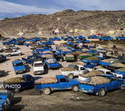 قاچاق سوخت در محاصره سیاست های هوشمندانه وزارت نفت