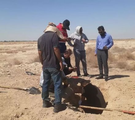 📌جمع آوری ۶ انشعاب غیر مجاز نفت در نفت خیز جنوب