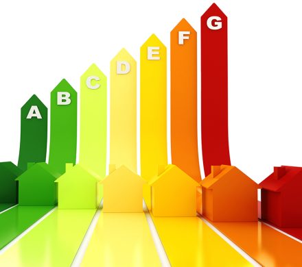 📌گام تازه در مسیر توسعه شرکت‌های کارور